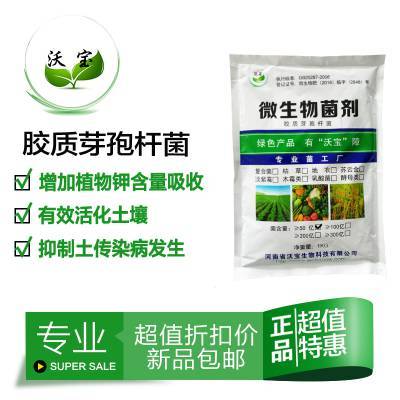 膠凍樣芽孢桿菌膠質(zhì)菌有機(jī)肥料生物拌種蘸根基肥硅酸鹽細(xì)菌鉀菌株1kg沃寶生物