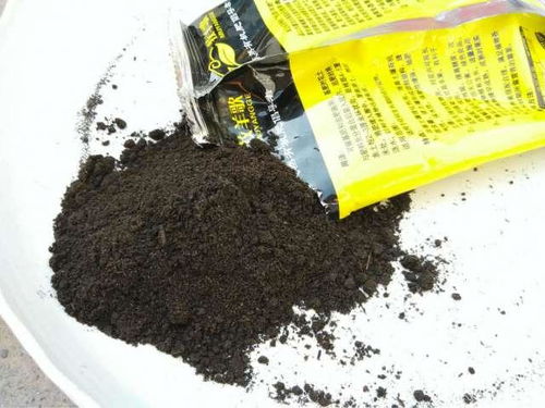 一篇文章了解微生物肥料,再也不怕被忽悠了