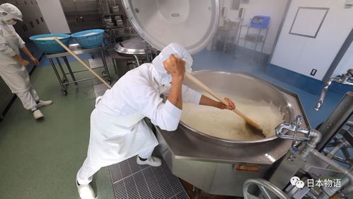 日本的孩子不吃盒飯,來(lái)看看日本的食品加工廠,是如何制作中小學(xué)生午餐的