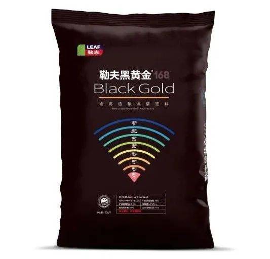 茄子為什么增產(chǎn),一起看看李大哥用了什么肥料