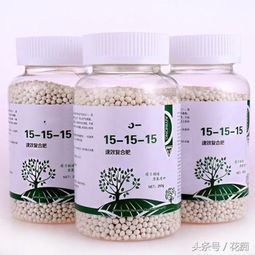 養(yǎng)花中的各種肥料該如何使用